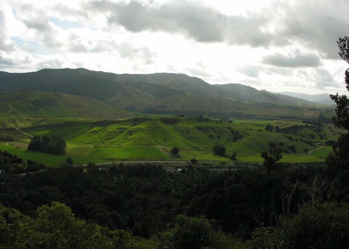 View of Tararuas from walking track at Pukaha Mount Bruce