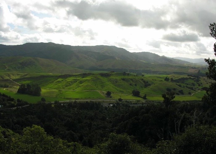 View of Tararuas from walking track at Pukaha Mount Bruce