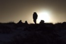 Dundas ridge at dusk