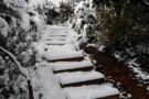 Snow On Gentle Annie, Tararuas