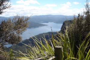 Lake Waikaremoana from Panekiri Hut (1180m)