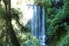 Korokoro Falls in Te Urewera