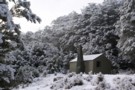 Kiwi Saddle Hut (Wangapeka)
