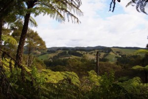 Matitai Forest - View into Ness Valley