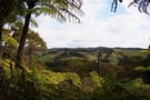 Matitai Forest - View into Ness Valley