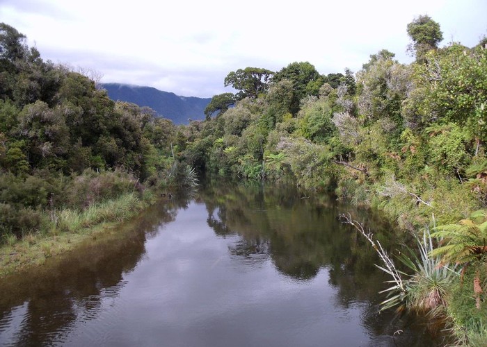 The Awarua River