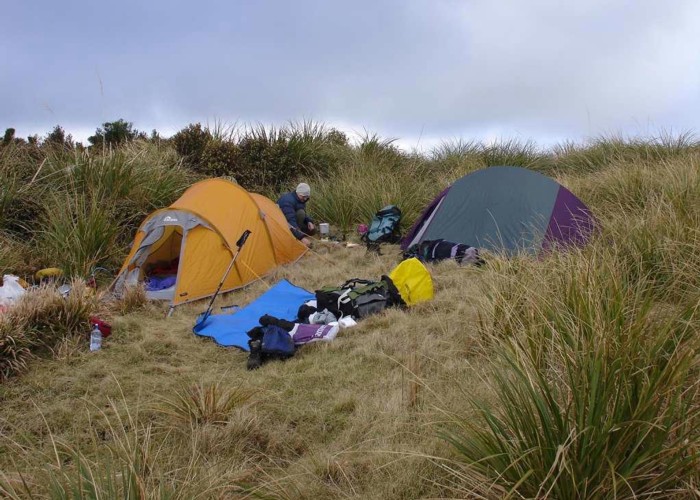 Camping near Puketutu Hut
