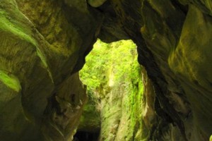 Ruakokoputuna Chasm 3