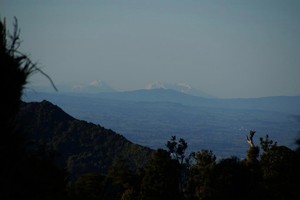 View from Te Rereatukahia Hut