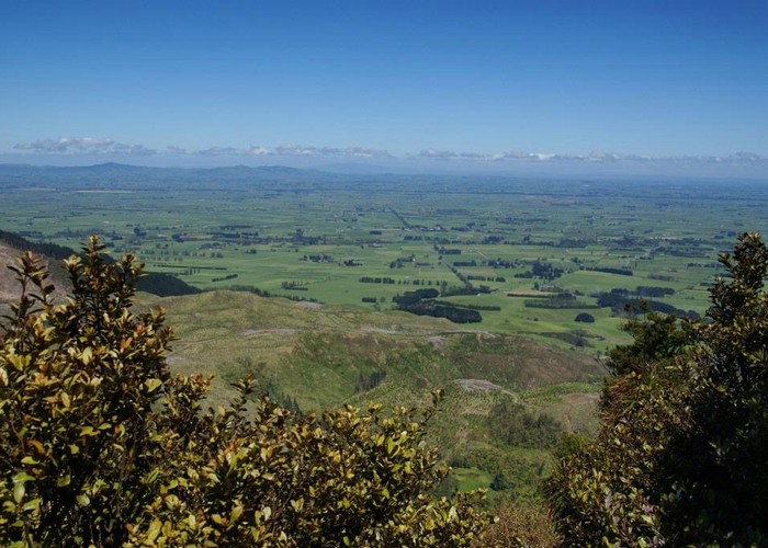 Views over the plains from Te Rereatukahia Loop Track