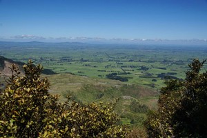 Views over the plains from Te Rereatukahia Loop Track