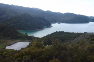 Abel Tasman National Park