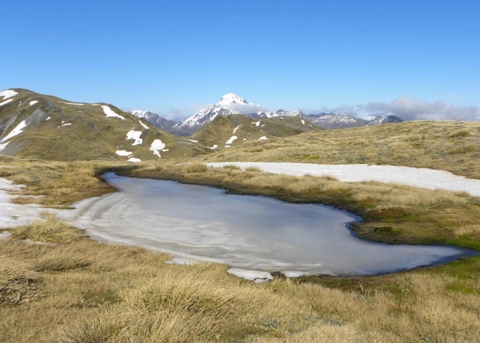 A tarn on the Kelly range in spring