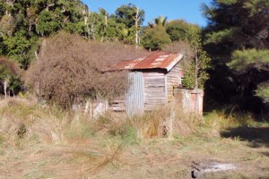 Leebody Creek Hut