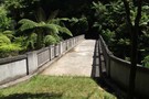 Mangapurua Valley - Bridge to Nowhere Track