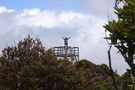 Pirongia - Bell/ Tahuanui Loop 1.5 days