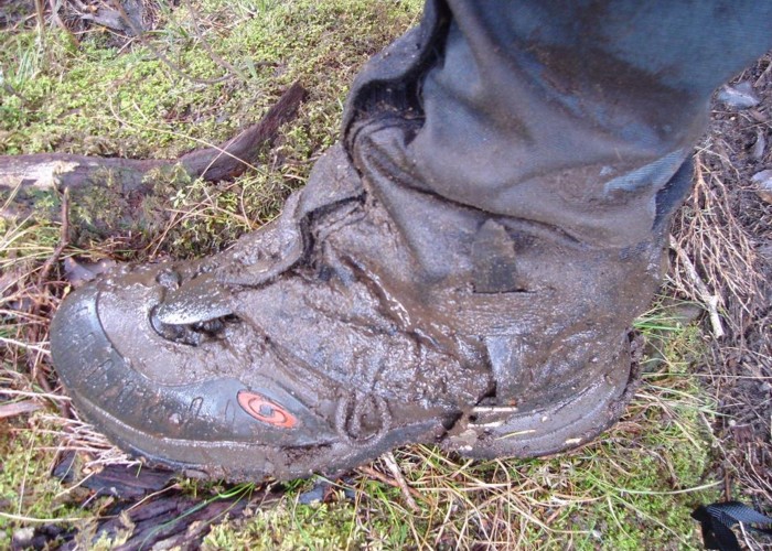 Stewart Island mud!