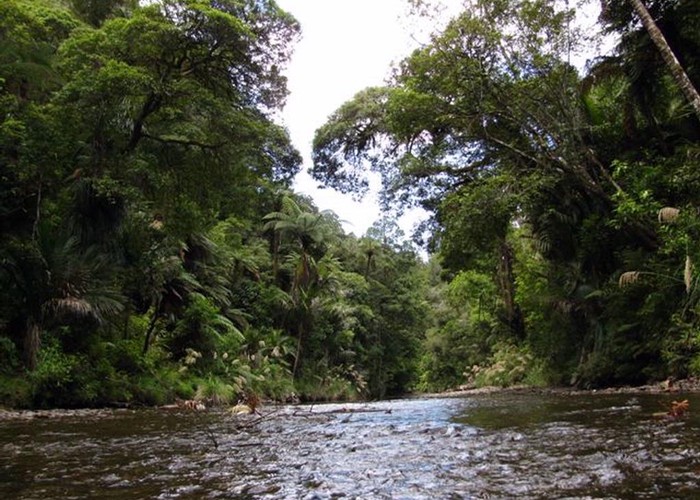 Waipapa River