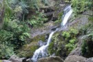 Waiotemarama Falls