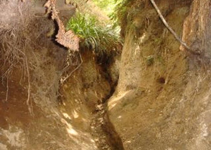 Deeply eroded track