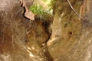 Mount Tauhara, Taupo - Deeply eroded track