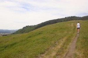 Mount Tauhara, Taupo - Track beginning