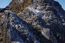 Mt. Hikurangi Summit Ridge