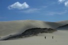 Te Paki sand dunes