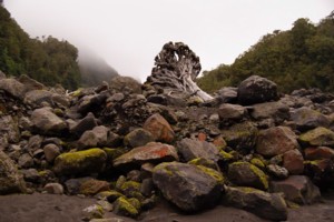 Up the Stoney River (Egmont National Park)