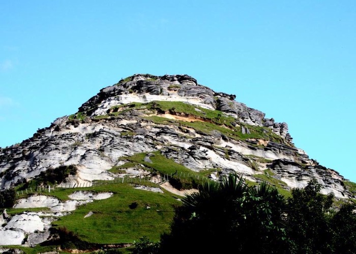 Hill in Hawkes Bay