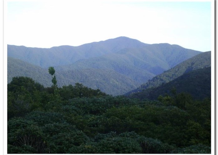 Ruamahanga valley looking south from Herepai.