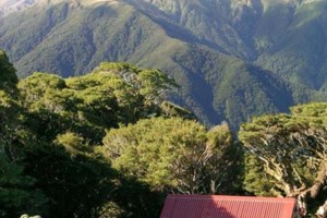 Aokaparangi Hut, Tararuas