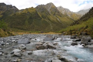 Crawford river near the Crawford Biv