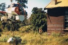 Port Craig hut Jan 1981