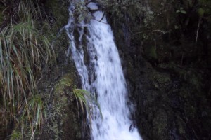 Water Fall On Lake Daniells Track