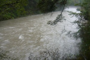 Alfred river in full flood