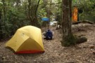 Camp Site at Binna Burra, Lamington National Park