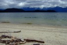 beach at Manapouri Lake