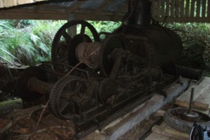 Sheridan creek,Log hauler.